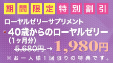 期間限定特別割引