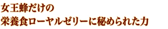 女王蜂だけの栄養食ローヤルゼリーに秘められた力